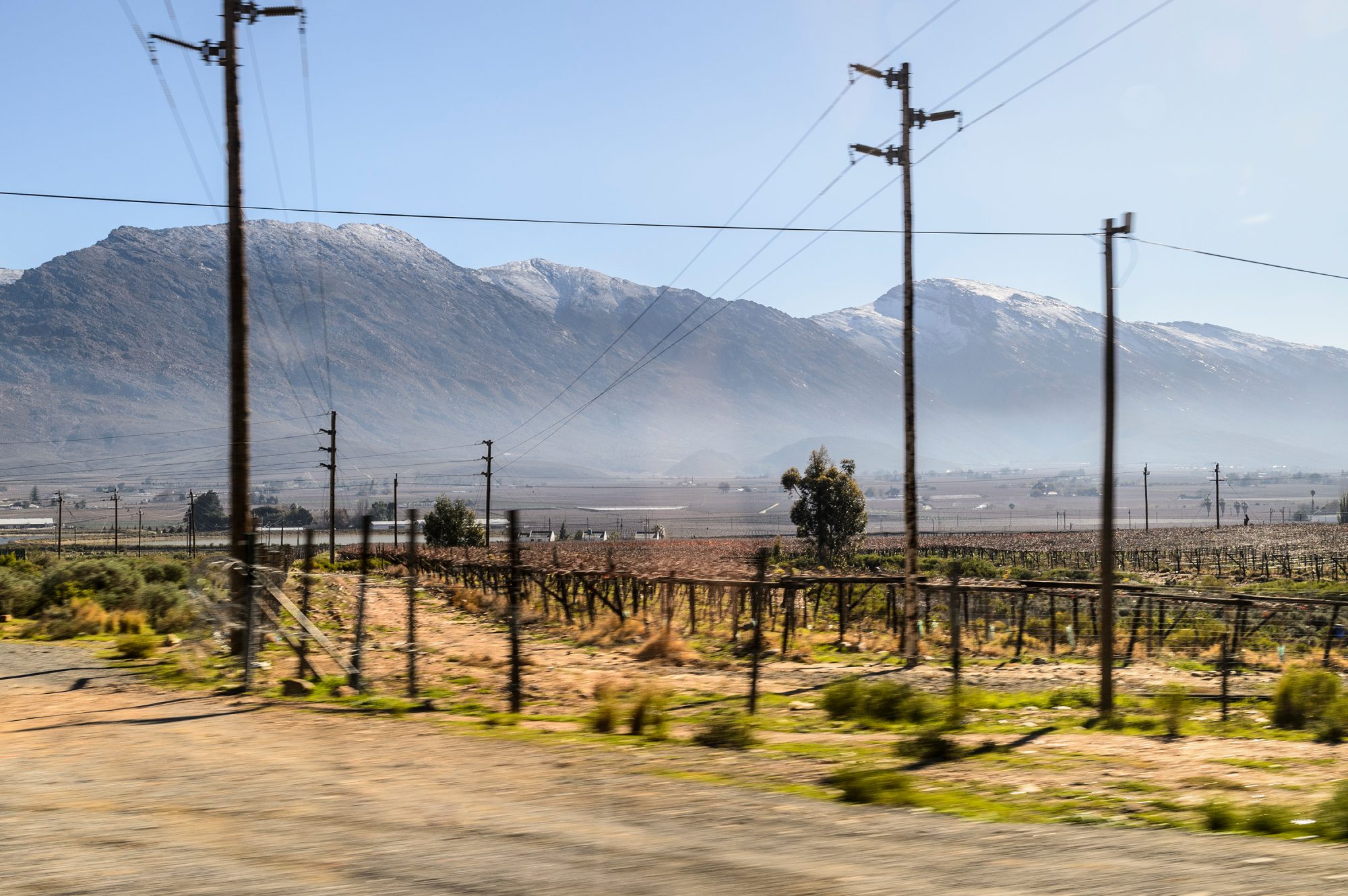 Landscape of wine country near Cape Town with mountain in the background, power lines in foreground.