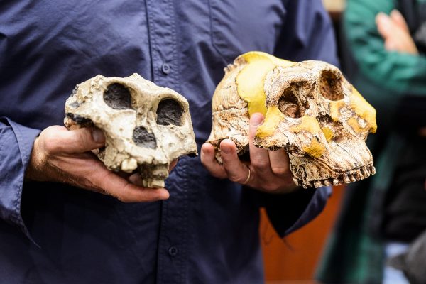 Two skulls being held in two hands.