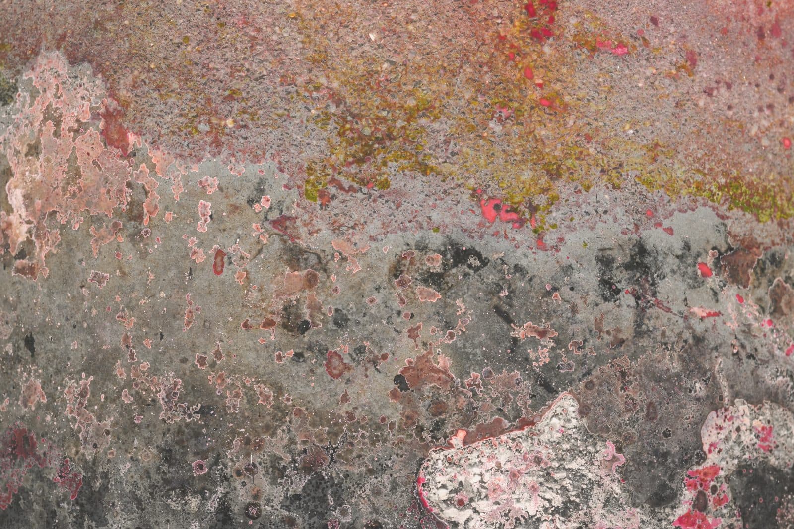 Closeup of pond scum, multicolored and abstract in shape.