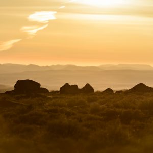 A dramatic scene of South Africa at dusk with mountains in the background, deep yellow hues, rocks and low brush in the foreground.