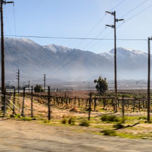 Landscape of wine country near Cape Town with mountain in the background, power lines in foreground.