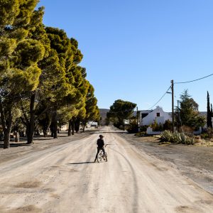 A boy pauses on his bicycle on a dusty rode in Sutherland, South Africa. Trees, a few houses, blue sky.
