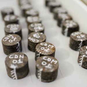 Approximately a dozen Barberton rock core samples with white numbers written on each.