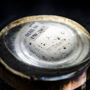 Microscopic specimen of Zircon