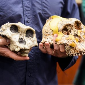 Two skulls being held in two hands.