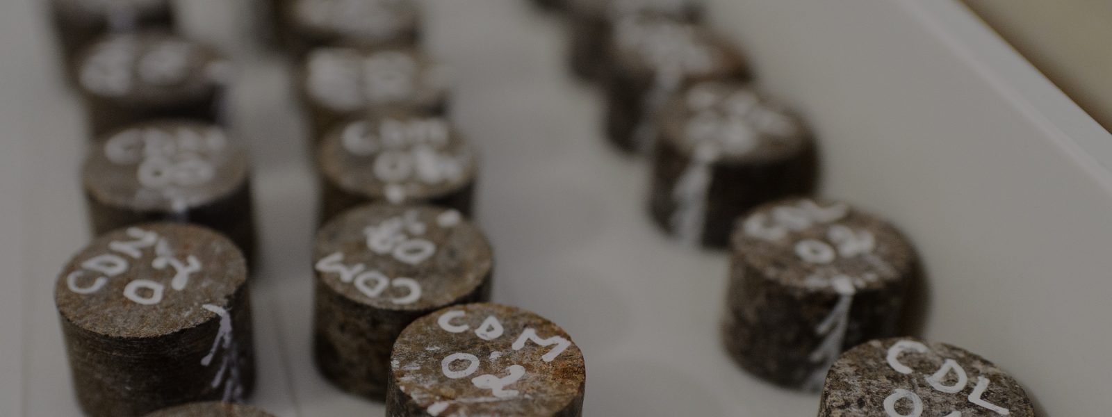 Approximately a dozen Barberton rock core samples with white numbers written on each.