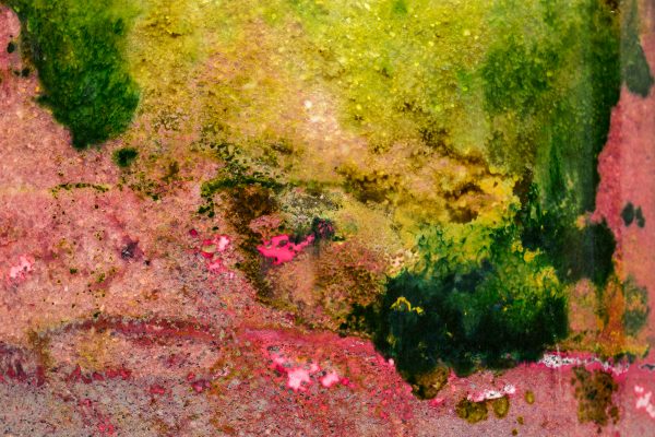 Closeup of pond scum, brighter and multicolored and abstract in shape.