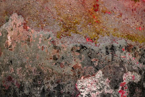 Closeup of pond scum, multicolored and abstract in shape.