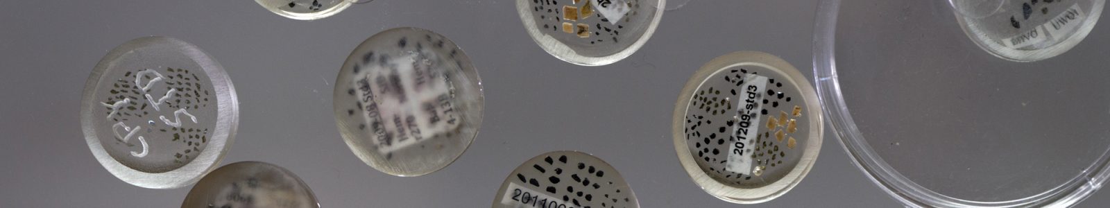 UW-Madison paleoanthropologist John Hawks walks an arid grassland dotted with warning signs and fenced-off areas marking openings to the below-ground Rising Star Cave system.