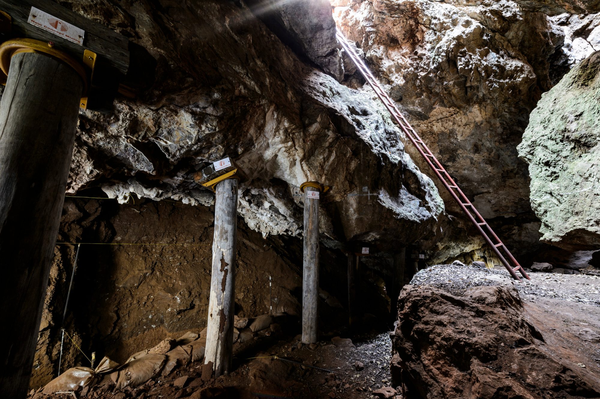 Support wooden beams within a cave, a ladder ascending to the light