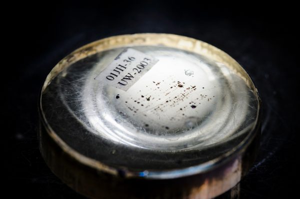 Microscopic specimen of Zircon